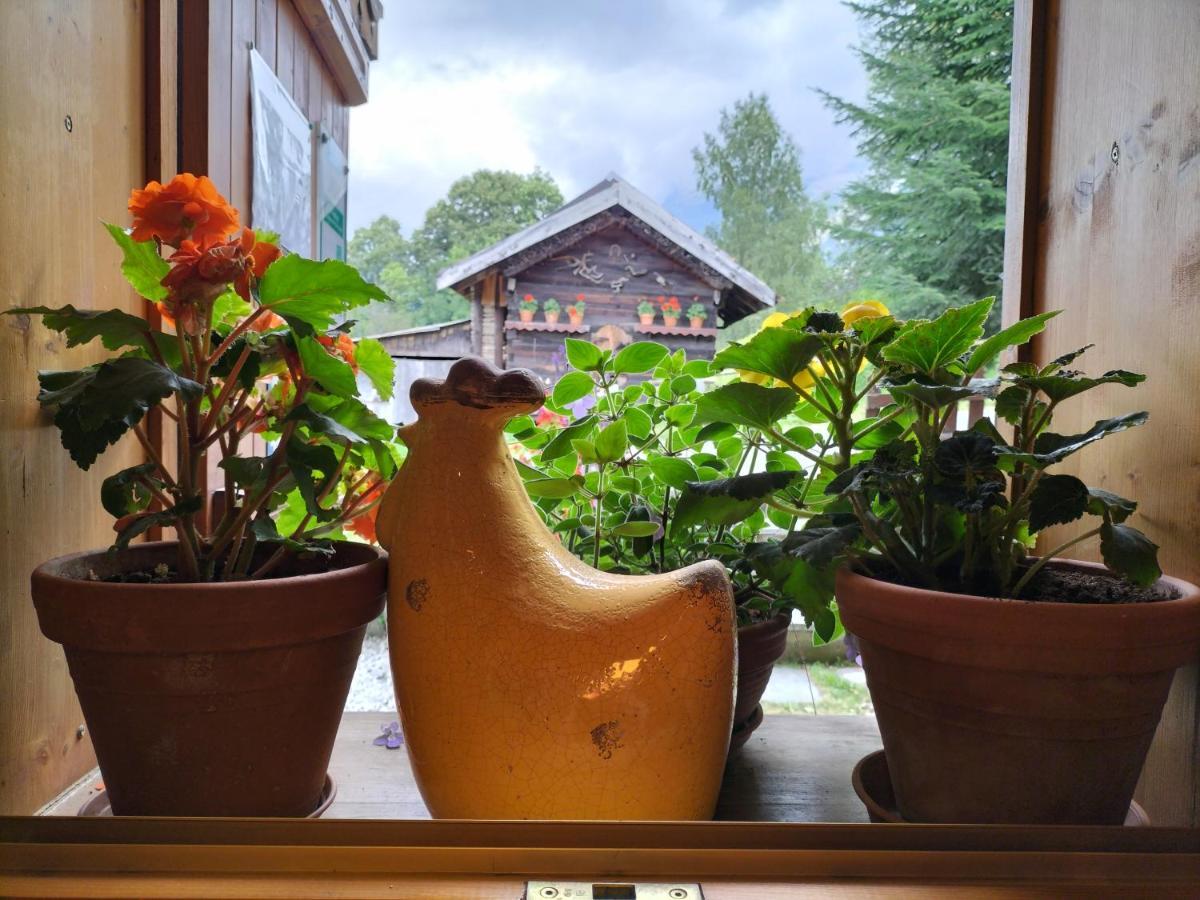 Le Montagny Otel Les Houches Dış mekan fotoğraf